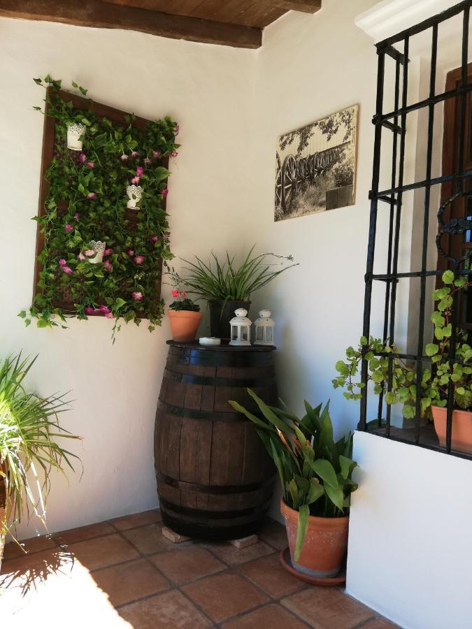 Casa Rural La Maquinilla Grazalema Zewnętrze zdjęcie