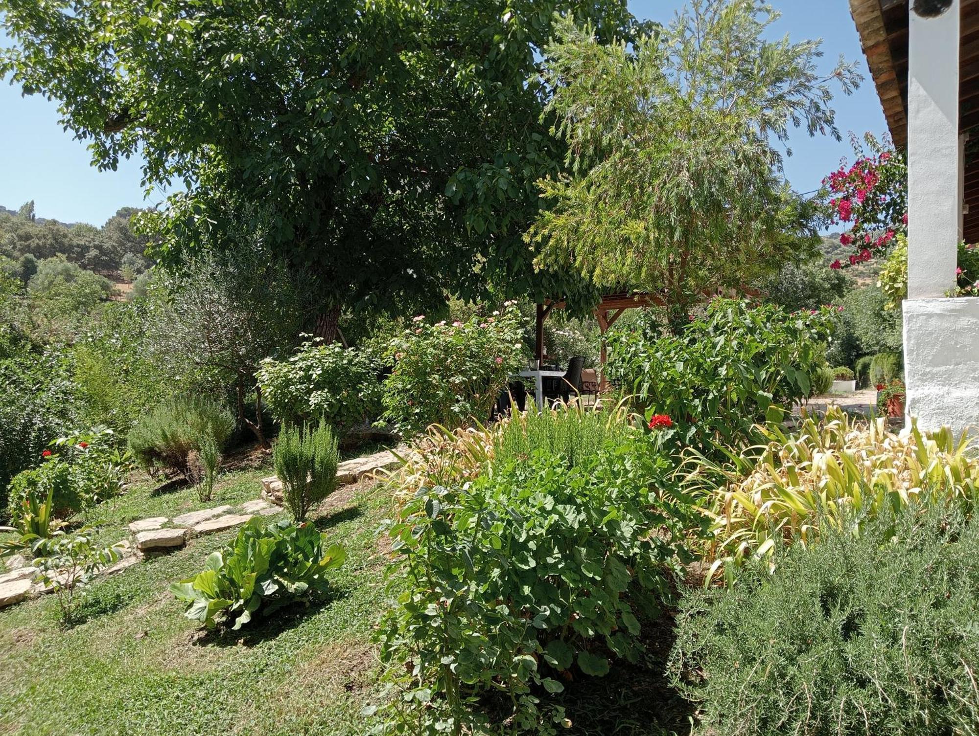 Casa Rural La Maquinilla Grazalema Zewnętrze zdjęcie