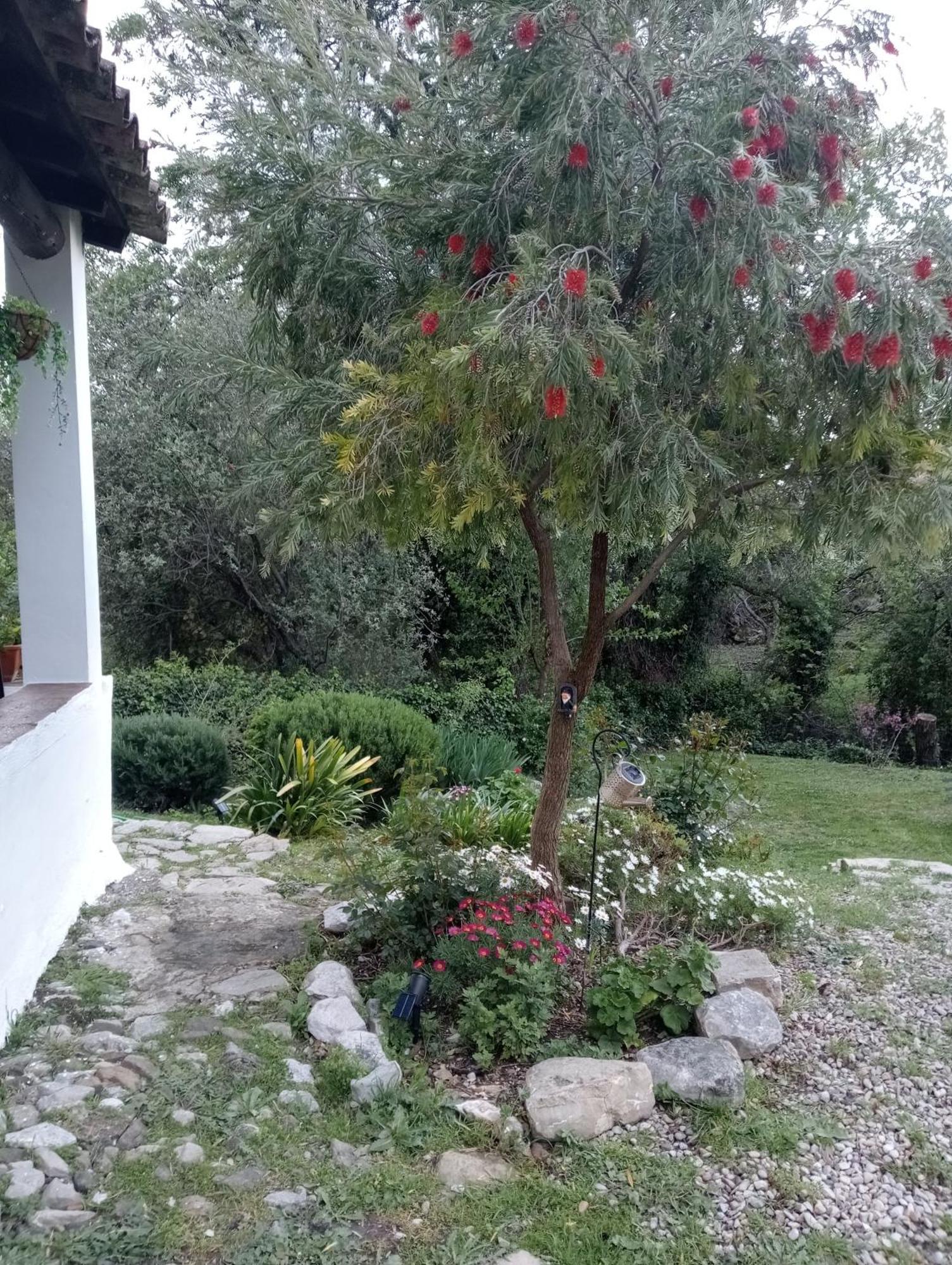 Casa Rural La Maquinilla Grazalema Zewnętrze zdjęcie