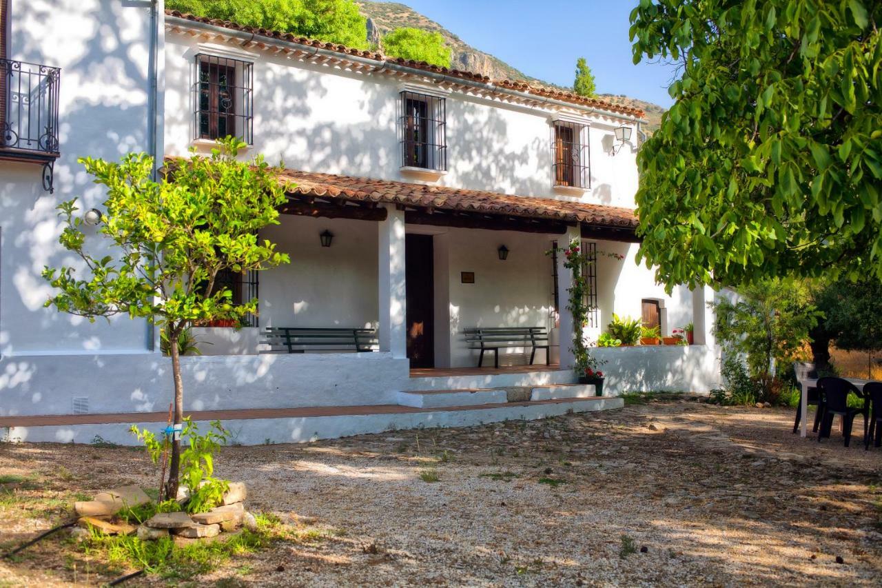 Casa Rural La Maquinilla Grazalema Zewnętrze zdjęcie