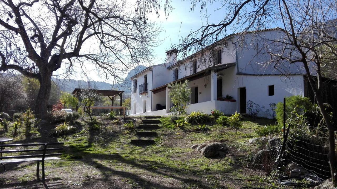 Casa Rural La Maquinilla Grazalema Zewnętrze zdjęcie